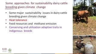Genetics and genomic approaches for sustainable dairy cattle improvement