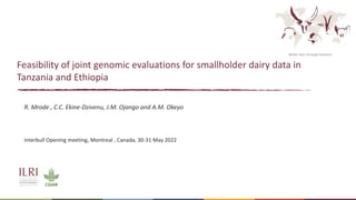 Better lives through livestock
Feasibility of joint genomic evaluations for smallholder dairy data in
Tanzania and Ethiopia
R. Mrode , C.C. Ekine-Dzivenu, J.M. Ojango and A.M. Okeyo
Interbull Opening meeting, Montreal , Canada, 30-31 May 2022
 