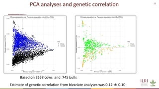 Feasibility of joint genomic evaluations for smallholder dairy data in Tanzania and Ethiopia