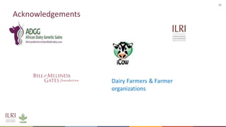 Feasibility of joint genomic evaluations for smallholder dairy data in Tanzania and Ethiopia