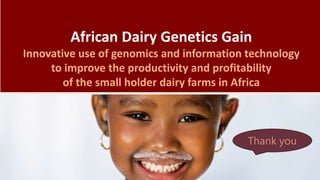 Feasibility of joint genomic evaluations for smallholder dairy data in Tanzania and Ethiopia