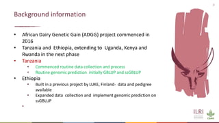 Feasibility of joint genomic evaluations for smallholder dairy data in Tanzania and Ethiopia