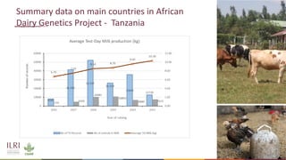 Feasibility of joint genomic evaluations for smallholder dairy data in Tanzania and Ethiopia