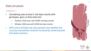 Feasibility of joint genomic evaluations for smallholder dairy data in Tanzania and Ethiopia