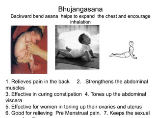 Bhujangasana
Backward bend asana helps to expand the chest and encourage
inhalation
1. Relieves pain in the back 2. Strengthens the abdominal
muscles
3. Effective in curing constipation 4. Tones up the abdominal
viscera
5. Effective for women in toning up their ovaries and uterus
6. Good for relieving Pre Menstrual pain. 7. Keeps the sexual
 