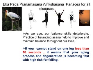 Eka Pada Pranamasana /Vrikshasana Panacea for all
diseases
As we age, our balance skills deteriorate.
Practice of balancing asana help to improve and
maintain balance throughout our lives.
If you cannot stand on one leg less than
10 seconds , it means that your aging
process and degeneration is becoming fast
with high risk for falling.
 