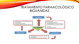TRATAMIENTO FARMACOLÓGICO
BIGUANIDAS
 