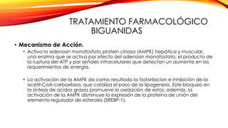 TRATAMIENTO FARMACOLÓGICO
BIGUANIDAS
• Mecanismo de Acción.
• Activa la adenosín monofosfato protein cinasa (AMPK) hepática y muscular,
una enzima que se activa por efecto del adenosin monofostato, el producto de
la ruptura del ATP y por señales intracelulares que detectan un aumento en los
requerimientos de energía.
• La activación de la AMPK da como resultado la fosforilacion e inhibición de la
acetil-CoA-carboxilasa, que cataliza el paso de la lipogenesis. Este bloqueo en
la síntesis de acidos grasos promueve la oxidación de estos; además, la
activación de la AMPK disminuye la expresión de la proteína de unión del
elemento regulador de esteroles (SREBP-1).
 