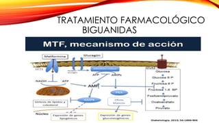 TRATAMIENTO FARMACOLÓGICO
BIGUANIDAS
 
