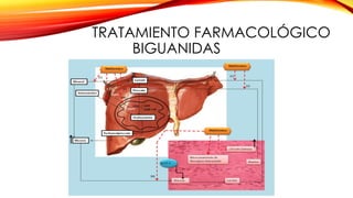 TRATAMIENTO FARMACOLÓGICO
BIGUANIDAS
 
