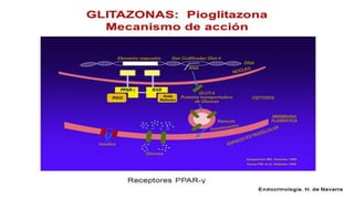 TRATAMIENTO FARMACOLÓGICO
TIAZOLIDINEDIONAS
 