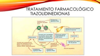 TRATAMIENTO FARMACOLÓGICO
TIAZOLIDINEDIONAS
 