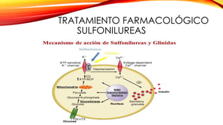 TRATAMIENTO FARMACOLÓGICO
SULFONILUREAS
 