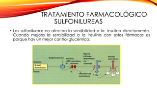 TRATAMIENTO FARMACOLÓGICO
SULFONILUREAS
• Las sulfonilureas no afectan la sensibilidad a la insulina directamente.
Cuando mejora la sensibilidad a la insulina con estos fármacos es
porque hay un mejor control glucémico.
 