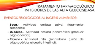EVENTOS FISIOLÓGICOS AL INGERIR ALIMENTOS:
– Boca.- Actividad amilasa salival (fragmentar
almidones)
– Duodeno.- Actividad amilasa pancreática (producir
oligosacáridos)
– Yeyuno.- Actividad alfa glucosidasas (unión de
oligosacáridos al cepillo intestinal).
TRATAMIENTO FARMACOLÓGICO
INHIBIDORES DE LAS ALFA GLUCOSIDASA
 