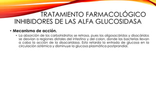 TRATAMIENTO FARMACOLÓGICO
INHIBIDORES DE LAS ALFA GLUCOSIDASA
• Mecanismo de acción.
• La absorción de los carbohidratos se retrasa, pues los oligosacáridos y disacáridos
se desvían a regiones distales del intestino y del colon, donde las bacterias llevan
a cabo la acción de la disacaridasa. Esto retarda la entrada de glucosa en la
circulación sistémica y disminuye la glucosa plasmática postprandial.
 