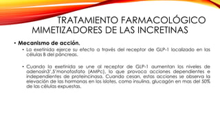 TRATAMIENTO FARMACOLÓGICO
MIMETIZADORES DE LAS INCRETINAS
• Mecanismo de acción.
• La exetinida ejerce su efecto a través del receptor de GLP-1 localizado en las
células B del páncreas.
• Cuando la exetinida se une al receptor de GLP-1 aumentan los niveles de
adenosín3’,5’monofosfato (AMPc), lo que provoca acciones dependientes e
independientes de proteincinasa. Cuando cesan, estas acciones se observa la
elevación de las hormonas en los islotes, como insulina, glucagón en mas del 50%
de las células expuestas.
 