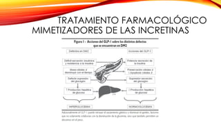 TRATAMIENTO FARMACOLÓGICO
MIMETIZADORES DE LAS INCRETINAS
 