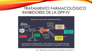 TRATAMIENTO FARMACOLÓGICO
INHIBIDORES DE LA DPP-IV
 