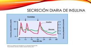 Watkins et al. Diabetes and its Management, Ed. 6. Blackwell Publishing, 2003;
Pickup & Williams. Slide Atlas of Diabetes. Blackwell Publishing, 2004
SECRECIÓN DIARIA DE INSULINA
 