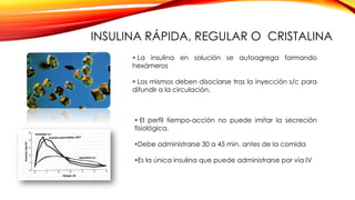  La insulina en solución se autoagrega formando
hexámeros
 Los mismos deben disociarse tras la inyección s/c para
difundir a la circulación.
 El perfil tiempo-acción no puede imitar la secreción
fisiológica.
Debe administrarse 30 a 45 min. antes de la comida
Es la única insulina que puede administrarse por vía IV
INSULINA RÁPIDA, REGULAR O CRISTALINA
 