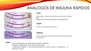  Invertidos los residuos terminales (pro-lis) de la cadena
Beta
 Reducción de las propiedades autoagregantes
 1 sitio de sustitución (Asp) x Pro.
 2 sitios de sustitución. Previenen formación de Dimeros
y hexameros
Aspart
Lispro
Todas:
 Son de elección en regímenes de MID y bomba
 Menor variabilidad en el sitio de inyección
 Utilización segura y útil particularmente en niños. Lispro y Aspartica – a
partir de 3 años
Glulisina
ANÁLOGOS DE INSULINA RÁPIDOS
 