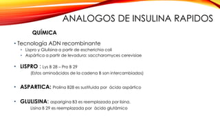 ANALOGOS DE INSULINA RAPIDOS
• Tecnología ADN recombinante
• Lispro y Glulisina a partir de escherichia coli
• Aspártica a partir de levadura: saccharomyces cerevisiae
• LISPRO : Lys B 28 – Pro B 29
(Estos aminoácidos de la cadena B son intercambiados)
• ASPARTICA: Prolina B28 es sustituida por ácido aspártico
• GLULISINA: asparigina B3 es reemplazada por lisina.
Lisina B 29 es reemplazada por ácido glutámico
QUÍMICA
 