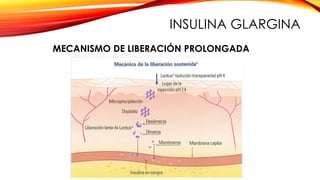 MECANISMO DE LIBERACIÓN PROLONGADA
INSULINA GLARGINA
 