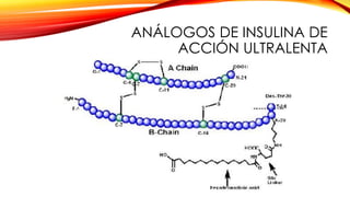 ANÁLOGOS DE INSULINA DE
ACCIÓN ULTRALENTA
 