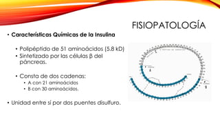 FISIOPATOLOGÍA
• Características Químicas de la Insulina
• Polipéptido de 51 aminoácidos (5.8 kD)
• Sintetizado por las células β del
páncreas.
• Consta de dos cadenas:
• A con 21 aminoácidos
• B con 30 aminoácidos.
• Unidad entre sí por dos puentes disulfuro.
 