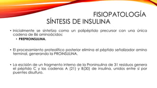 FISIOPATOLOGÍA
SÍNTESIS DE INSULINA
• Inicialmente se sintetiza como un polipéptido precursor con una única
cadena de 86 aminoácidos:
• PREPROINSULINA.
• El procesamiento proteolítico posterior elimina el péptido señalizador amino
terminal, generando la PROINSULINA.
• La escisión de un fragmento interno de la Proninsulina de 31 residuos genera
el péptido C y las cadenas A (21) y B(30) de insulina, unidos entre sí por
puentes disulfuro.
 