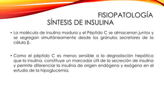 FISIOPATOLOGÍA
SÍNTESIS DE INSULINA
• La molécula de insulina madura y el Péptido C se almacenan juntos y
se segregan simultáneamente desde los gránulos secretores de la
célula β.
• Como el péptido C es menos sensible a la degradación hepática
que la insulina, constituye un marcador útil de la secreción de insulina
y permite diferenciar la insulina de origen endógeno y exógeno en el
estudio de la hipoglucemia.
 