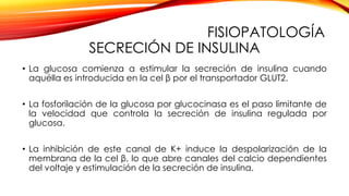 FISIOPATOLOGÍA
SECRECIÓN DE INSULINA
• La glucosa comienza a estimular la secreción de insulina cuando
aquélla es introducida en la cel β por el transportador GLUT2.
• La fosforilación de la glucosa por glucocinasa es el paso limitante de
la velocidad que controla la secreción de insulina regulada por
glucosa.
• La inhibición de este canal de K+ induce la despolarización de la
membrana de la cel β, lo que abre canales del calcio dependientes
del voltaje y estimulación de la secreción de insulina.
 