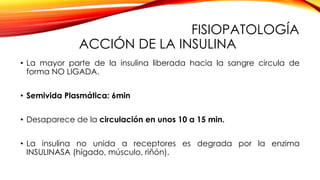 FISIOPATOLOGÍA
ACCIÓN DE LA INSULINA
• La mayor parte de la insulina liberada hacia la sangre circula de
forma NO LIGADA.
• Semivida Plasmática: 6min
• Desaparece de la circulación en unos 10 a 15 min.
• La insulina no unida a receptores es degrada por la enzima
INSULINASA (hígado, músculo, riñón).
 