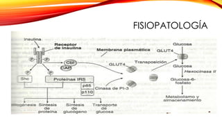 FISIOPATOLOGÍA
 