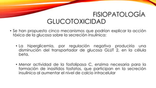 FISIOPATOLOGÍA
GLUCOTOXICIDAD
• Se han propuesto cinco mecanismos que podrían explicar la acción
tóxica de la glucosa sobre la secreción insulínica:
• La hiperglicemia, por regulación negativa produciría una
disminución del transportador de glucosa GLUT 2, en la célula
beta.
• Menor actividad de la fosfolipasa C, enzima necesaria para la
formación de inositidos fosfatos, que participan en la secreción
insulínica al aumentar el nivel de calcio intracelular
 