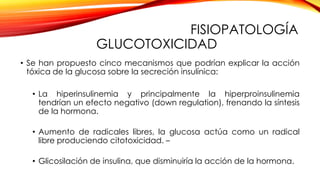 FISIOPATOLOGÍA
GLUCOTOXICIDAD
• Se han propuesto cinco mecanismos que podrían explicar la acción
tóxica de la glucosa sobre la secreción insulínica:
• La hiperinsulinemia y principalmente la hiperproinsulinemia
tendrían un efecto negativo (down regulation), frenando la síntesis
de la hormona.
• Aumento de radicales libres, la glucosa actúa como un radical
libre produciendo citotoxicidad. –
• Glicosilación de insulina, que disminuiría la acción de la hormona.
 