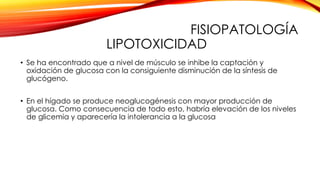 FISIOPATOLOGÍA
LIPOTOXICIDAD
• Se ha encontrado que a nivel de músculo se inhibe la captación y
oxidación de glucosa con la consiguiente disminución de la síntesis de
glucógeno.
• En el hígado se produce neoglucogénesis con mayor producción de
glucosa. Como consecuencia de todo esto, habría elevación de los niveles
de glicemia y aparecería la intolerancia a la glucosa
 