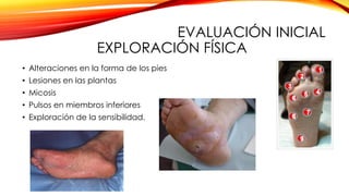 EVALUACIÓN INICIAL
EXPLORACIÓN FÍSICA
• Alteraciones en la forma de los pies
• Lesiones en las plantas
• Micosis
• Pulsos en miembros inferiores
• Exploración de la sensibilidad.
 