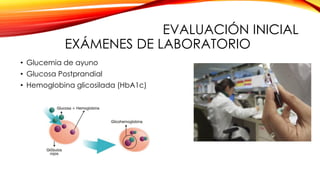 EVALUACIÓN INICIAL
EXÁMENES DE LABORATORIO
• Glucemia de ayuno
• Glucosa Postprandial
• Hemoglobina glicosilada (HbA1c)
 