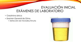 EVALUACIÓN INICIAL
EXÁMENES DE LABORATORIO
• Creatinina sérica
• Examen General de Orina,
• Detección de microalbuminuria
 