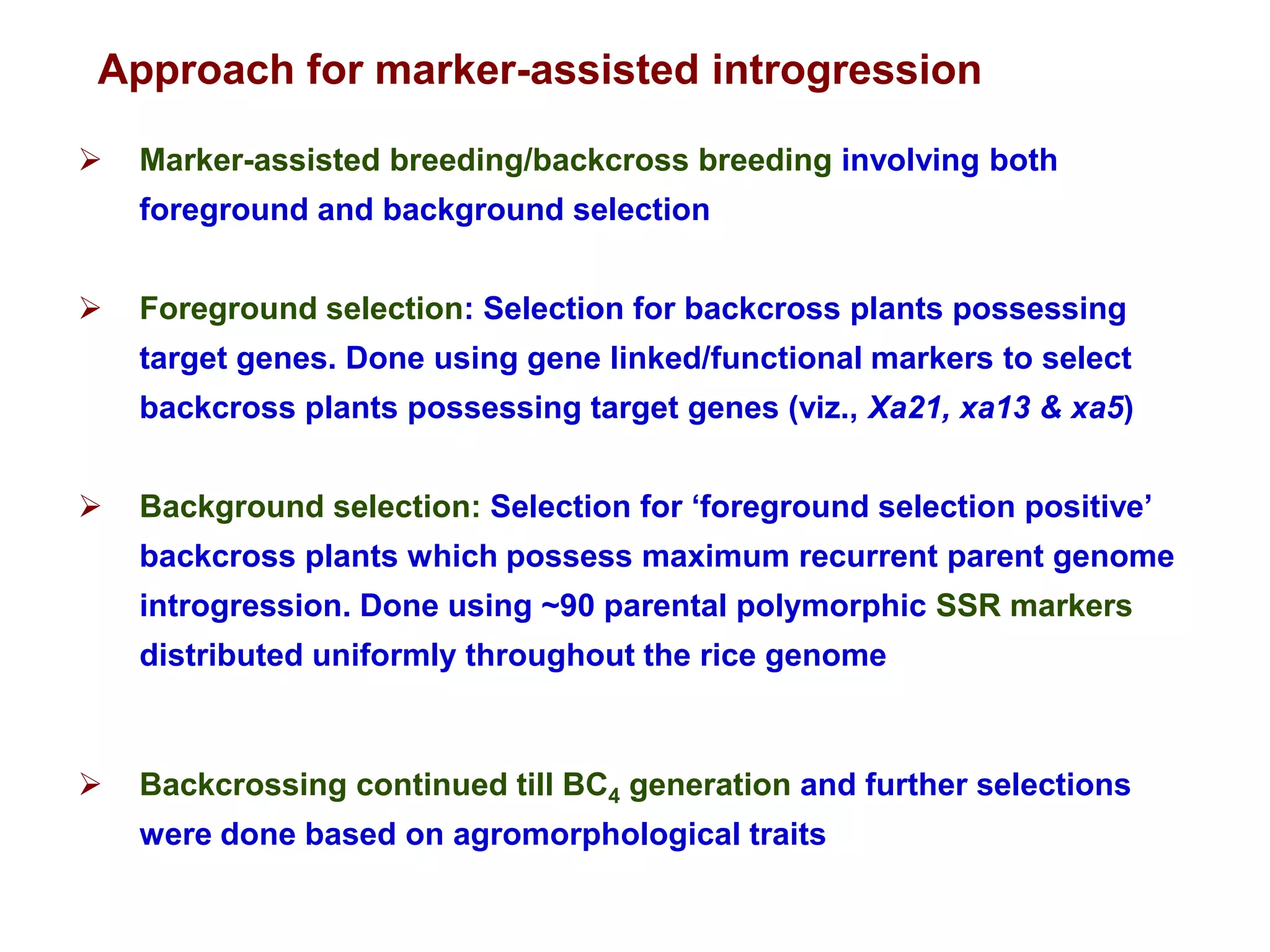 Marker assisted breeding of biotic stress resistance in Rice | PPT