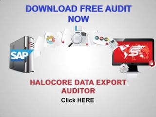 DOWNLOAD FREE AUDIT
NOW
Click HERE
 