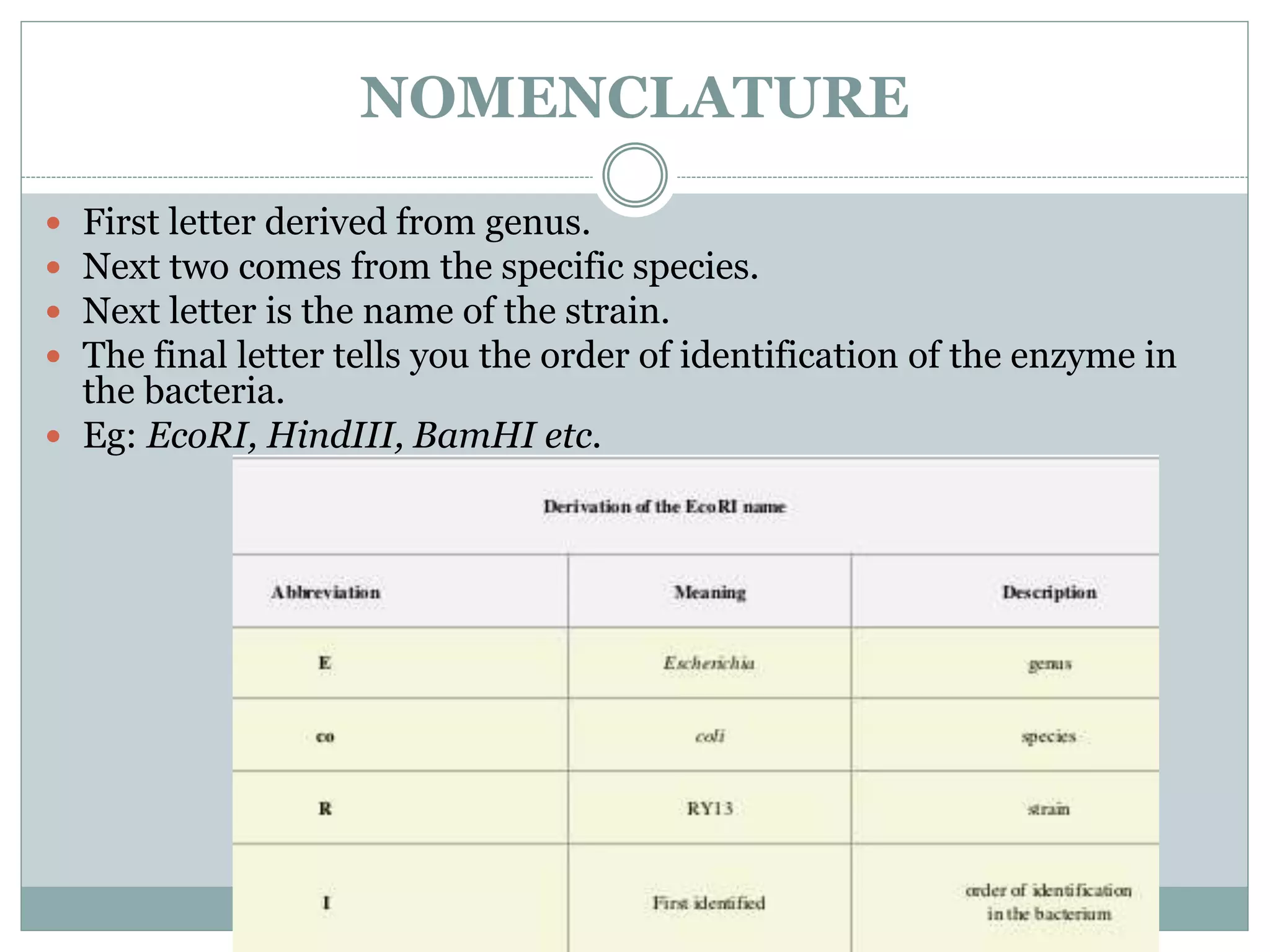 NOMENCLATURE
 First letter derived from genus.
 Next two comes from the specific species.
 Next letter is the name of the strain.
 The final letter tells you the order of identification of the enzyme in
the bacteria.
 Eg: EcoRI, HindIII, BamHI etc.
 