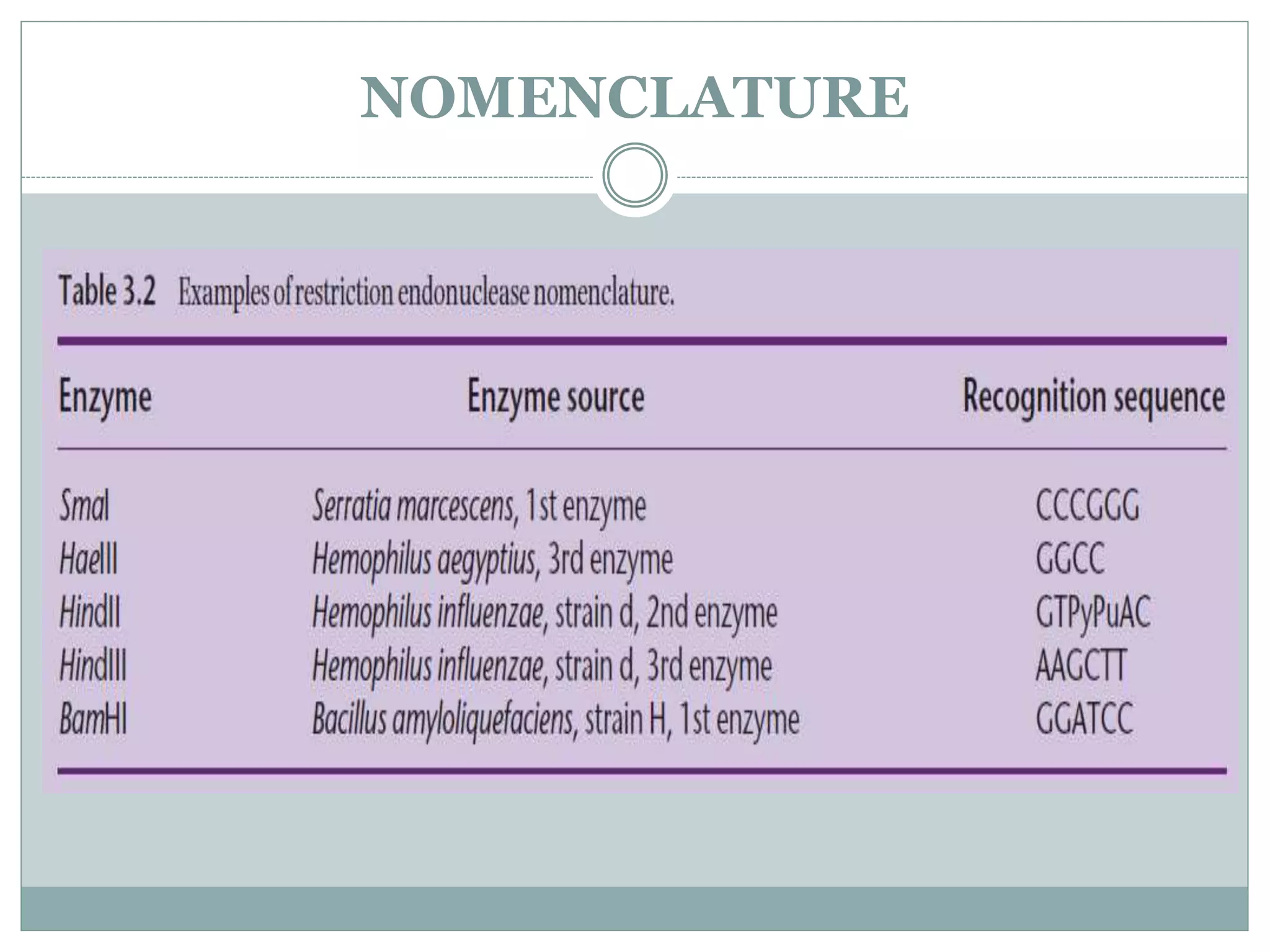 NOMENCLATURE
 