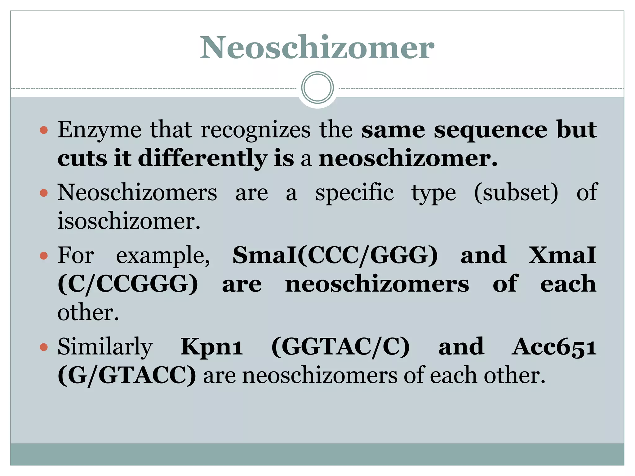 Neoschizomer
 Enzyme that recognizes the same sequence but
cuts it differently is a neoschizomer.
 Neoschizomers are a specific type (subset) of
isoschizomer.
 For example, SmaI(CCC/GGG) and XmaI
(C/CCGGG) are neoschizomers of each
other.
 Similarly Kpn1 (GGTAC/C) and Acc651
(G/GTACC) are neoschizomers of each other.
 