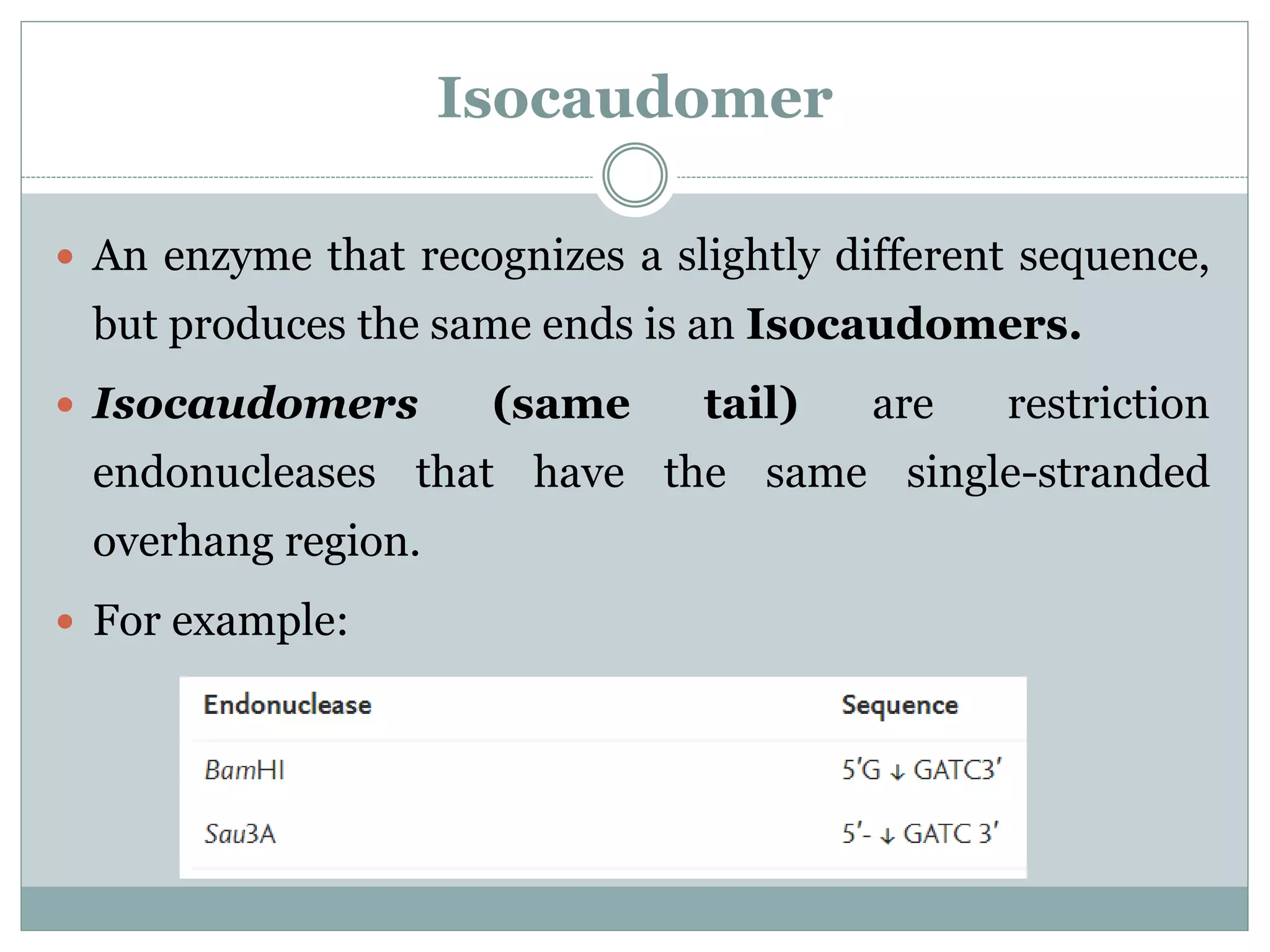Isocaudomer
 An enzyme that recognizes a slightly different sequence,
but produces the same ends is an Isocaudomers.
 Isocaudomers (same tail) are restriction
endonucleases that have the same single-stranded
overhang region.
 For example:
 