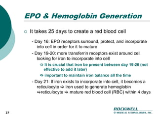 Financial Overview17
