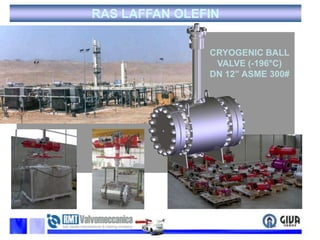RAS LAFFAN OLEFINCRYOGENIC BALL VALVE (-196°C)  DN 12” ASME 300#