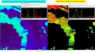 Rocky Mountain UAS Meetup - 16 August 2017
 